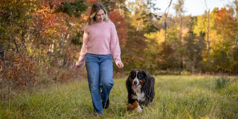 A Lady Walking With Her Dog In A Park