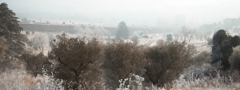 Visiting Lisbon In December: Weather, Things To Do &Amp; Travel Tips Day Trips From Lisbon In Winter