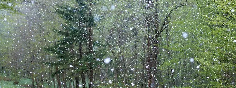 Visiting Lisbon In December: Weather, Things To Do &Amp; Travel Tips If It Rains..