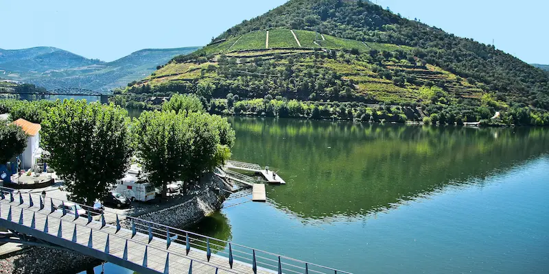 Pinhano Bridge In Portugal