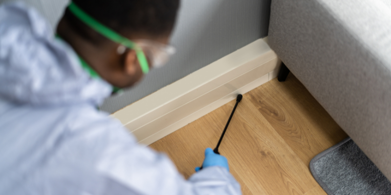 Pest Control Technician Applying Child And Pet Safe Treatment Near Furniture
