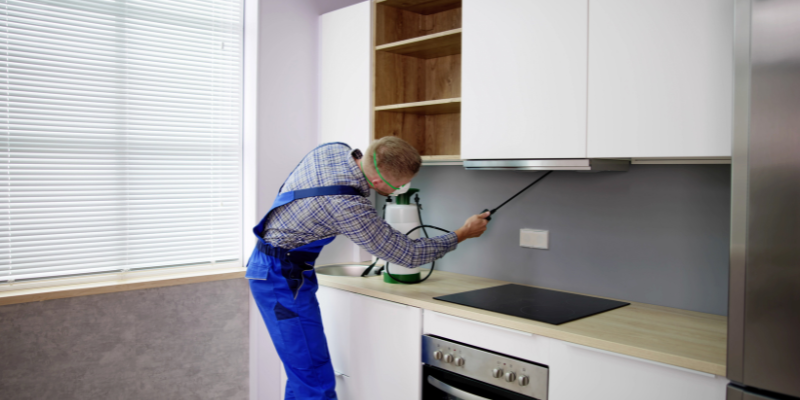 Pest Control Technician Spraying Kitchen Cabinets To Eliminate Cockroaches In Dhaka