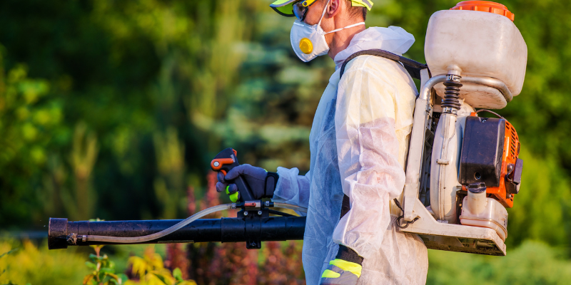 Certified Pest Control Technician Using Professional Fumigation Equipment
