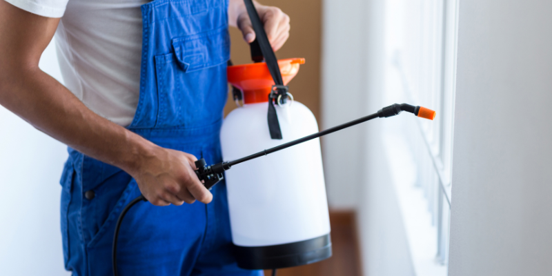 How To Choose The Right Pest Control Company In Dhaka 
— Technician Spraying Residential Wall